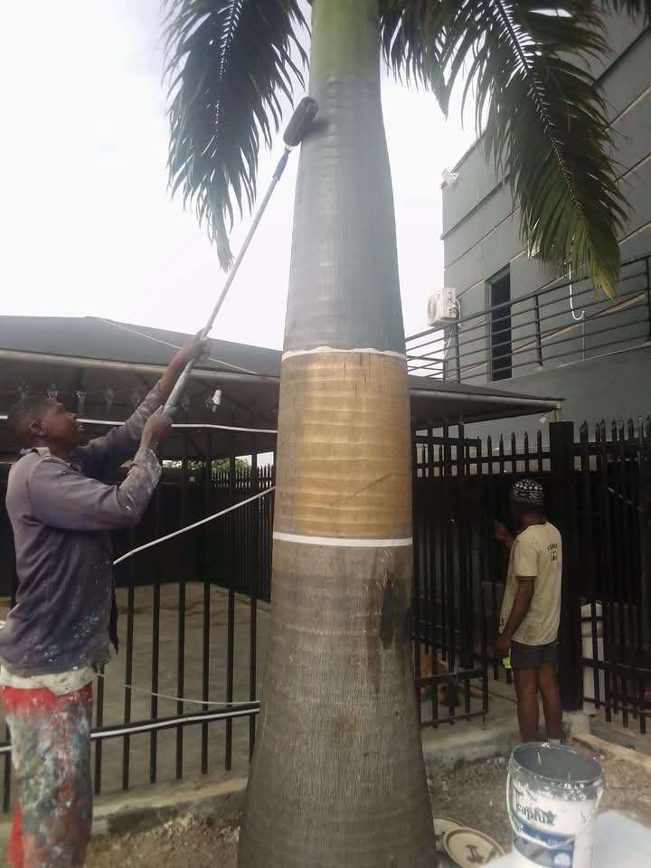 creative-outdoor-painting