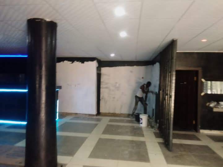 large-spaces-painting